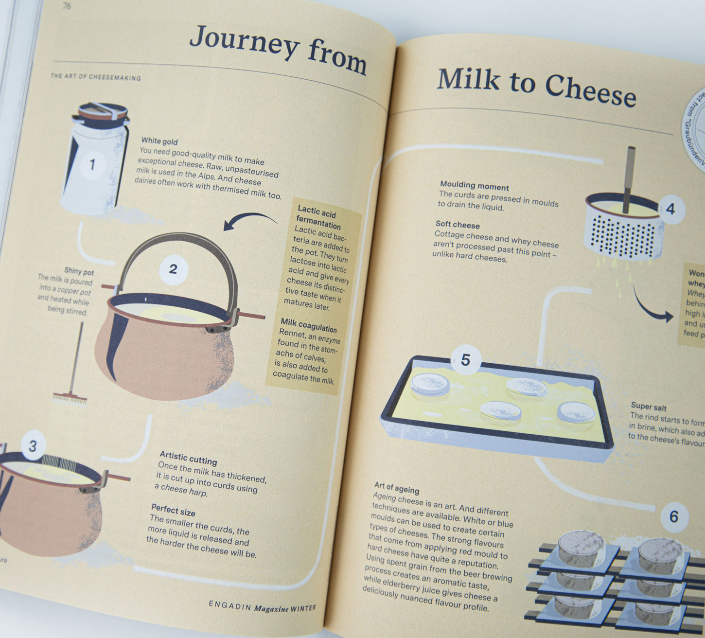 Cheese Illustration ENgadin Magazine